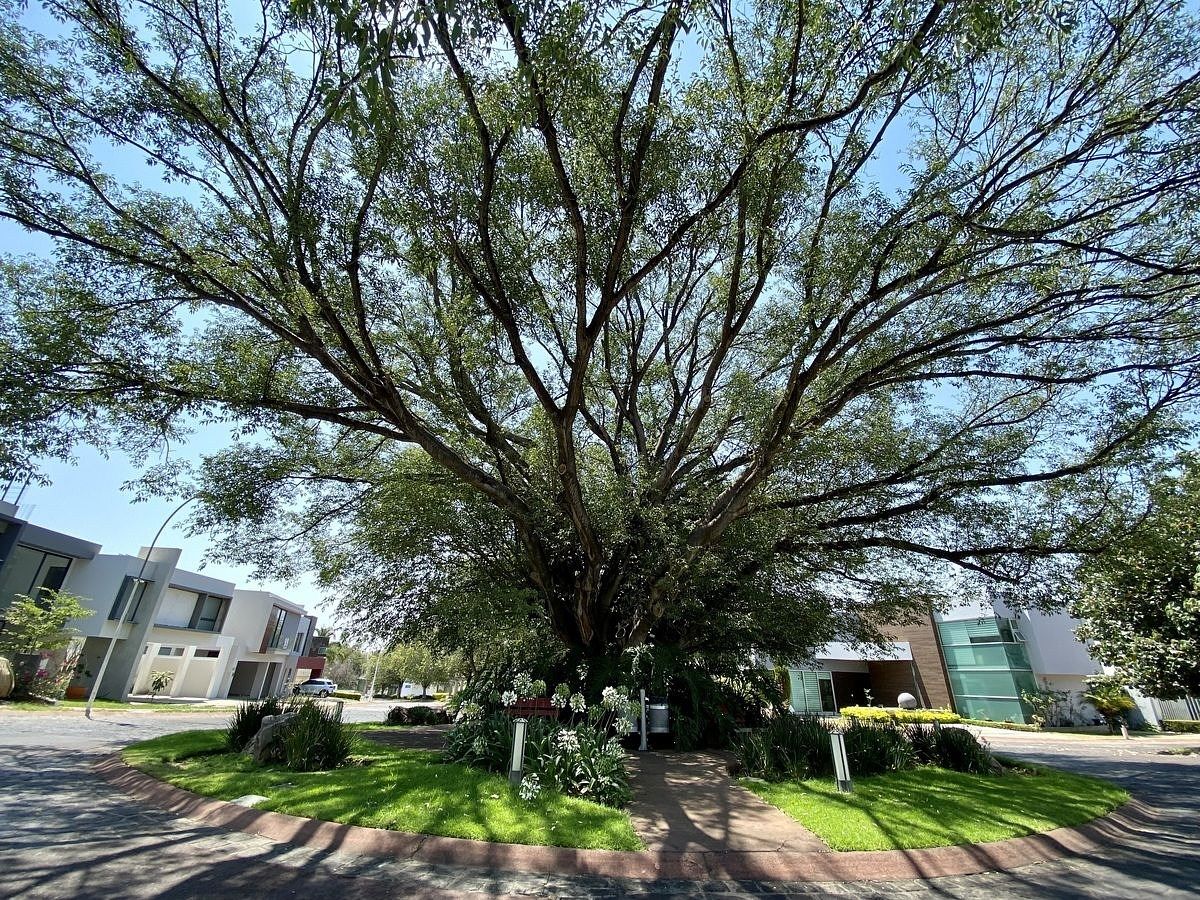 38 de 45: Áreas verdes La Rioja