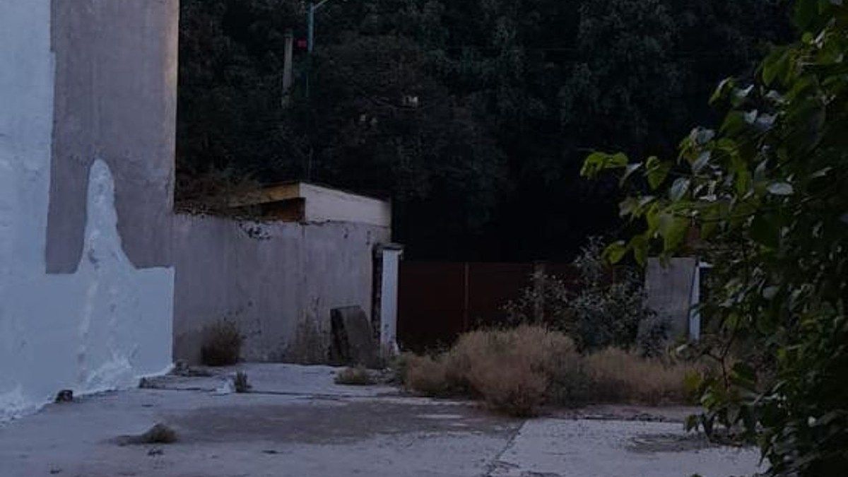 3 de 12