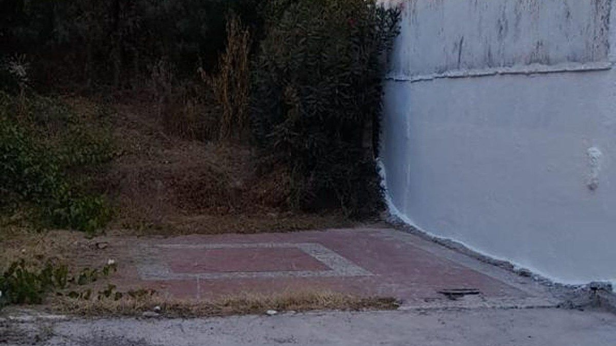5 de 12