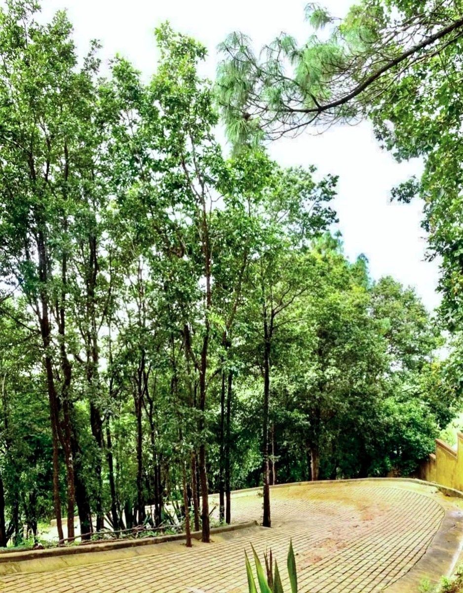 Terreno en Residencial "Mar de Nubes"
