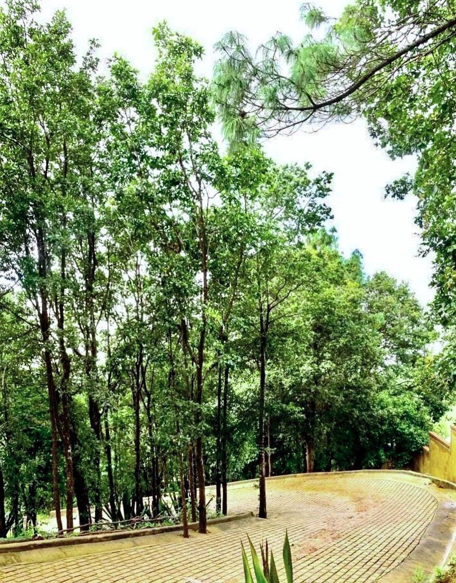 Terreno en Residencial "Mar de Nubes"