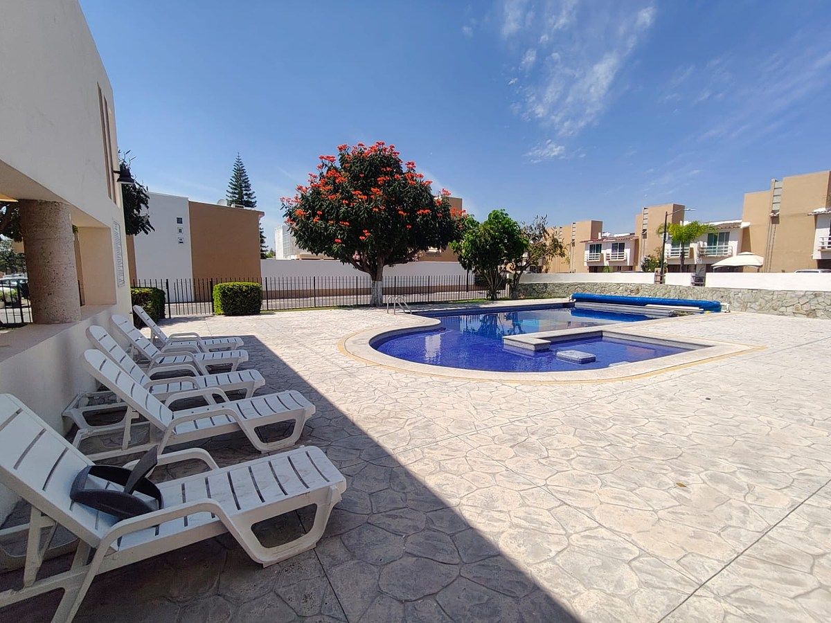 2 de 16: Alberca y camastros