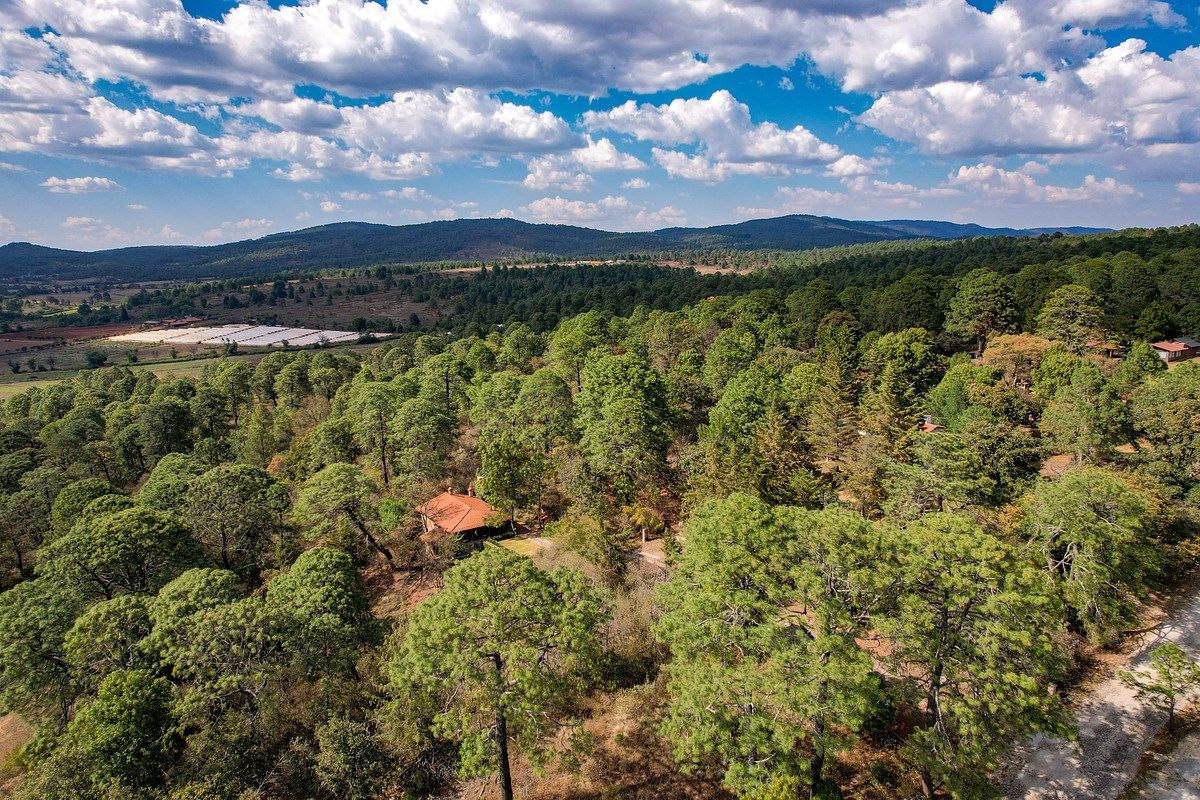 Terreno en venta en Pinares Tapalpa - foto 1