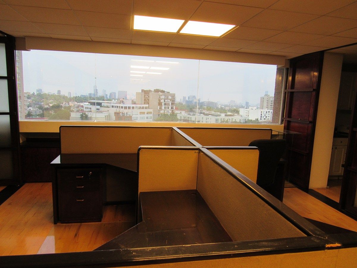 12 de 20: Oficina en Renta en Jardines del Pedregal Rayo Vende ®