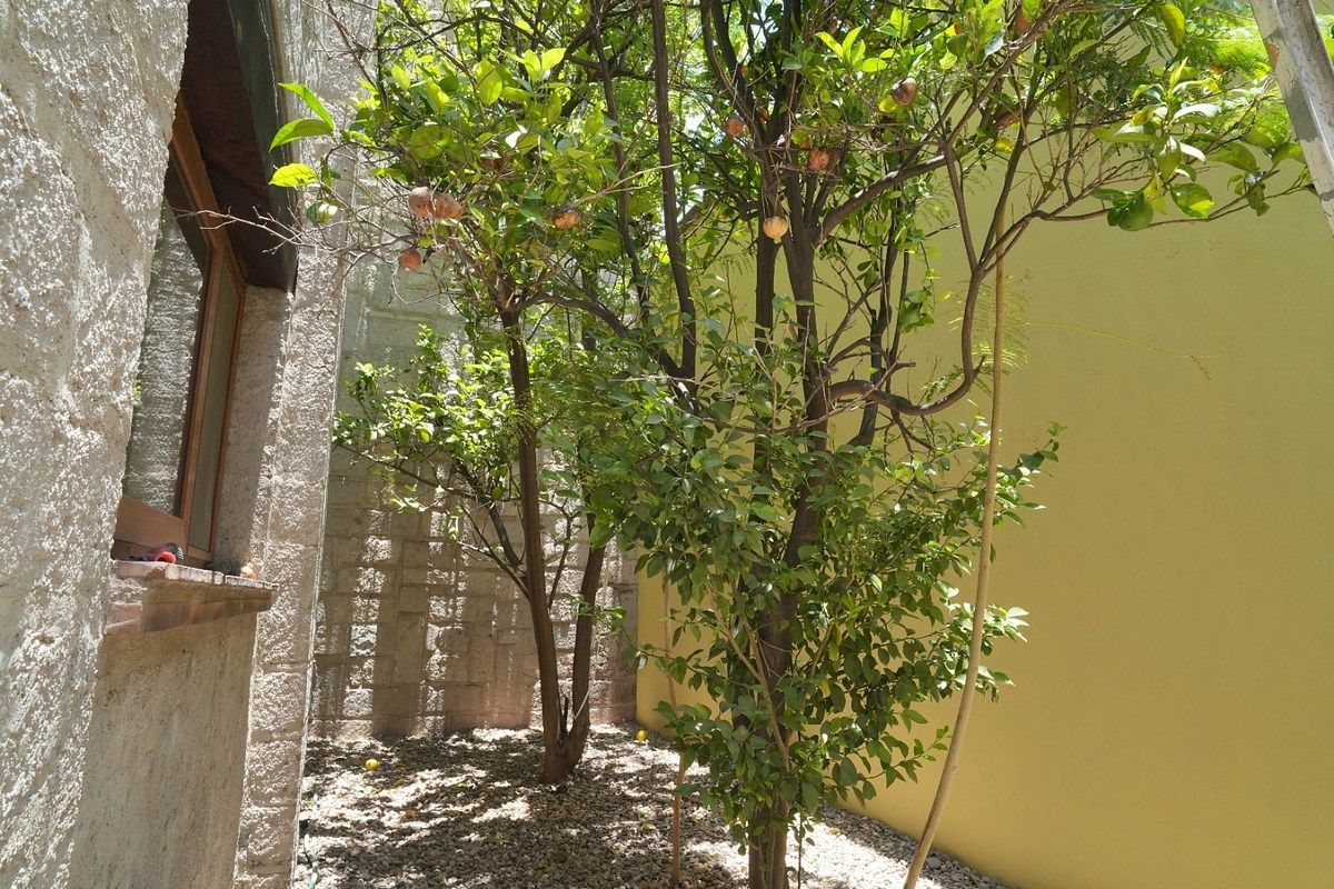 17 de 27: Patio Trasero