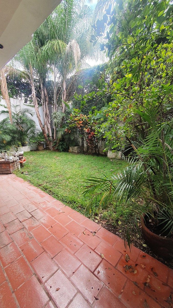 8 de 26: Hermoso jardín.