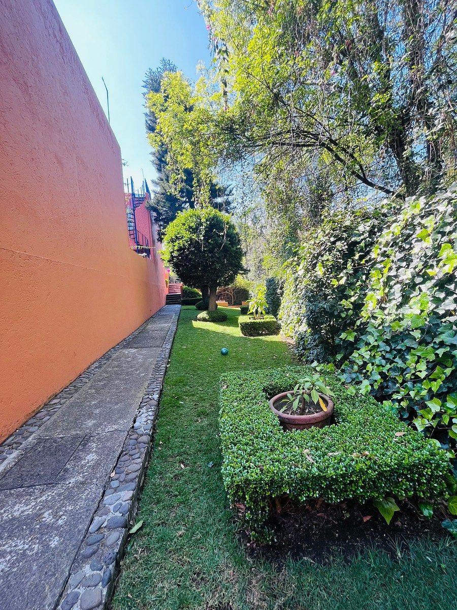 30 de 32: Jardín común