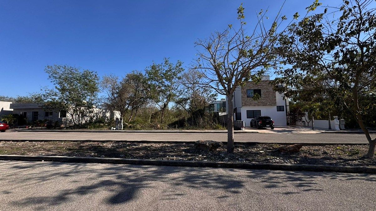 1 de 8: TERRENO DE FRENTE