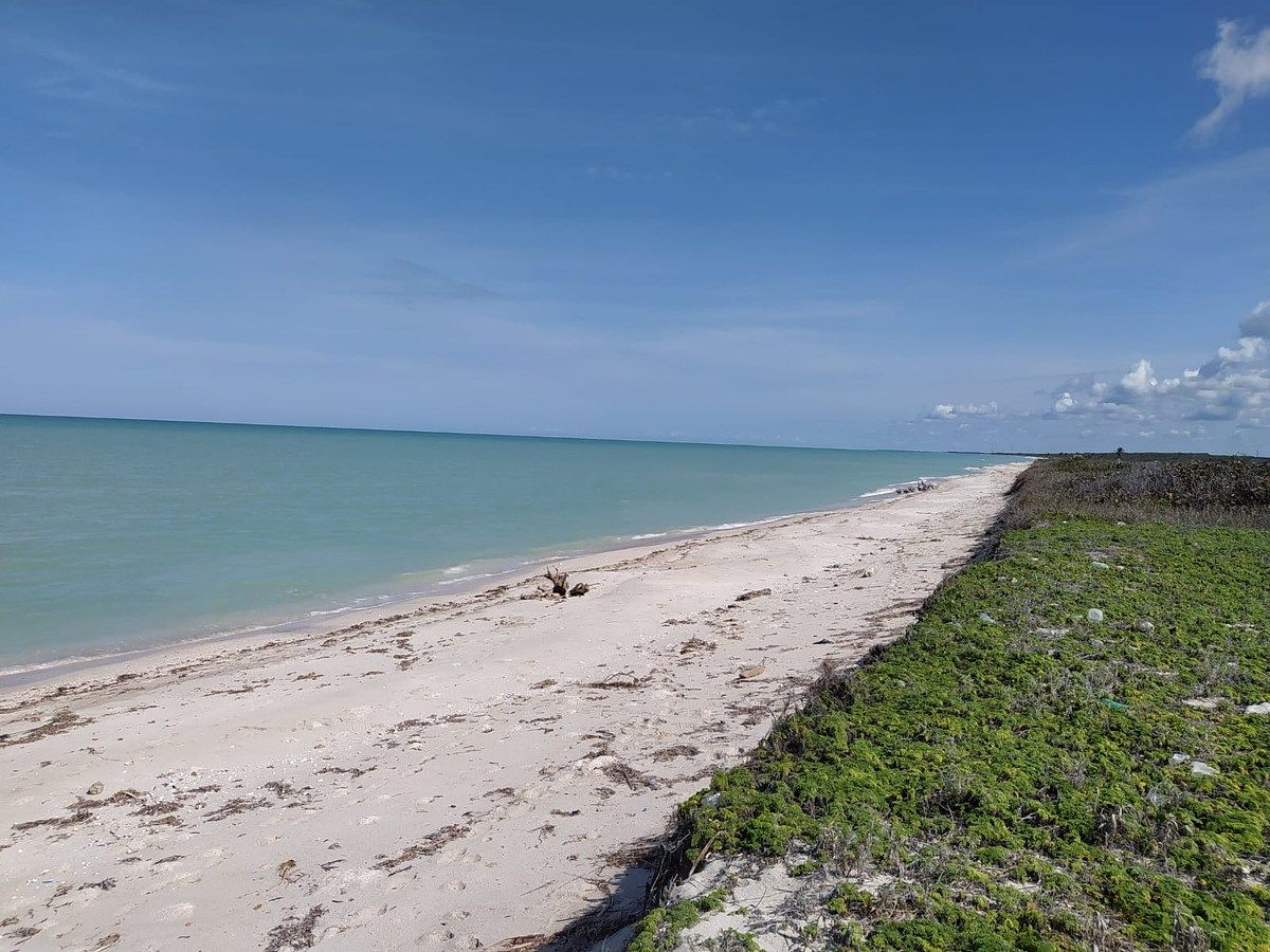 Land facing the sea in Sabancuy, Carmen Campeche. On the corner. - foto 2