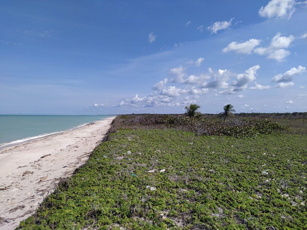 Land facing the sea in Sabancuy, Carmen Campeche. On the corner. - foto 1
