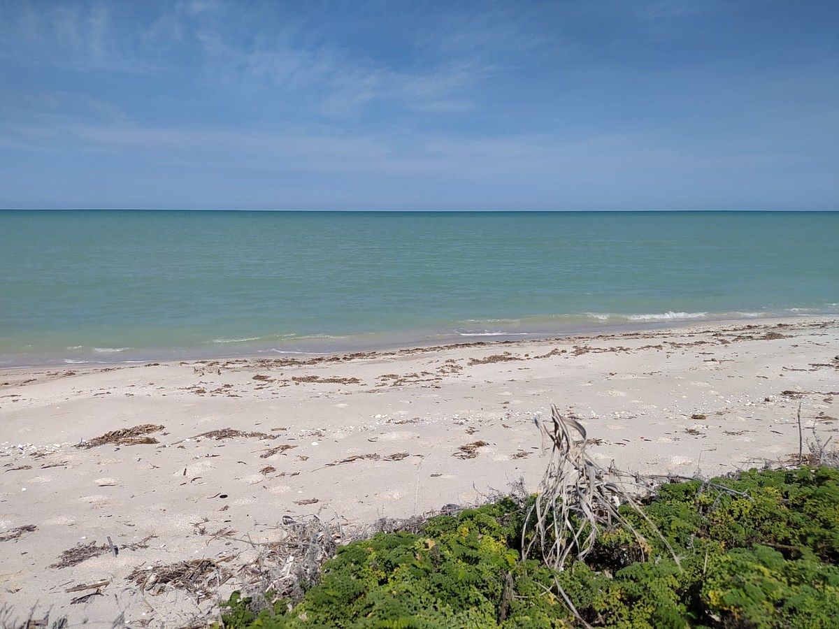 Land facing the sea in Sabancuy, Carmen Campeche. On the corner. - foto 4