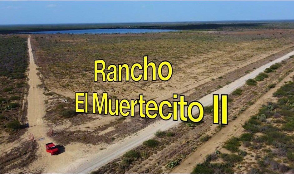 32 de 39
