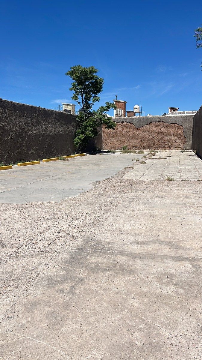 24 de 25