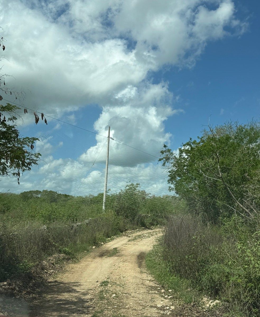 2 de 6: Luz electrica a pie de terreno