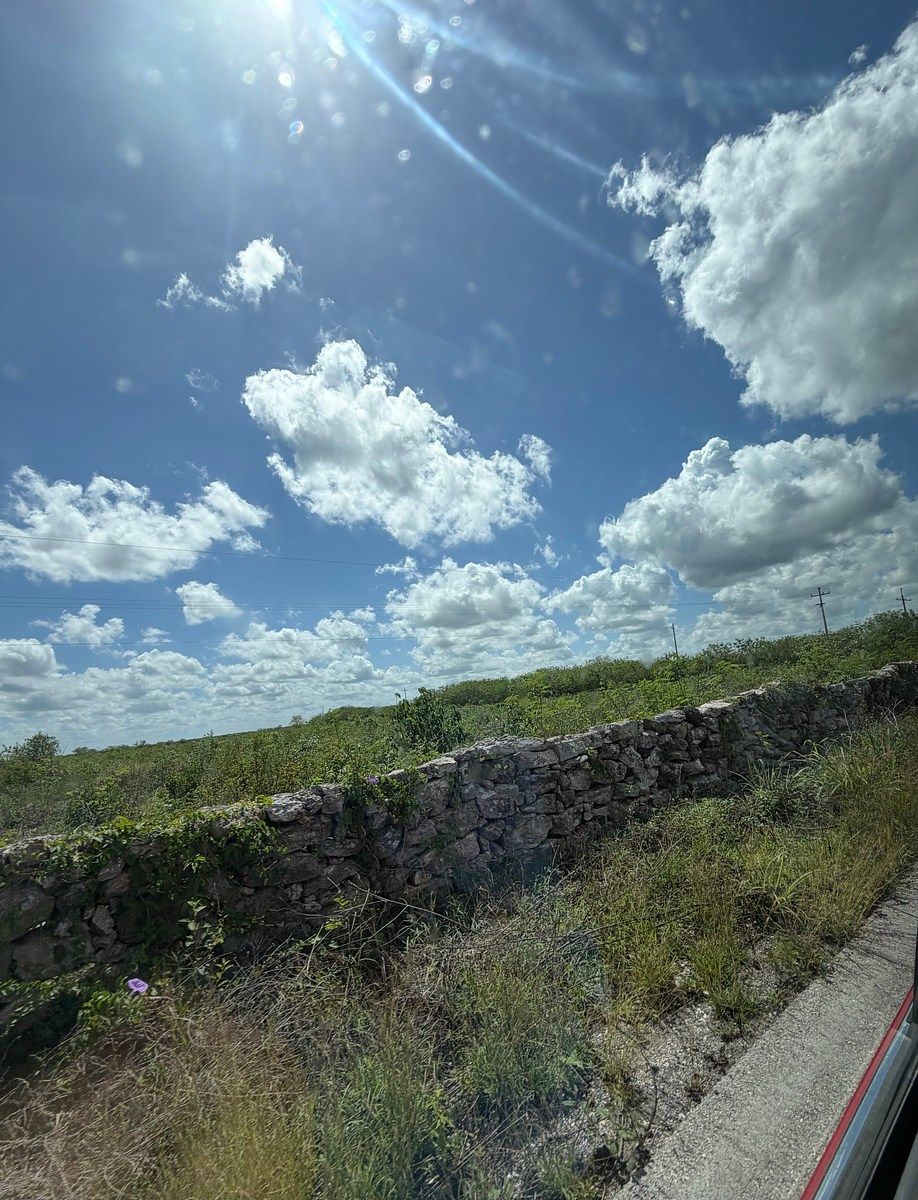 4 de 6: Terreno delimitado