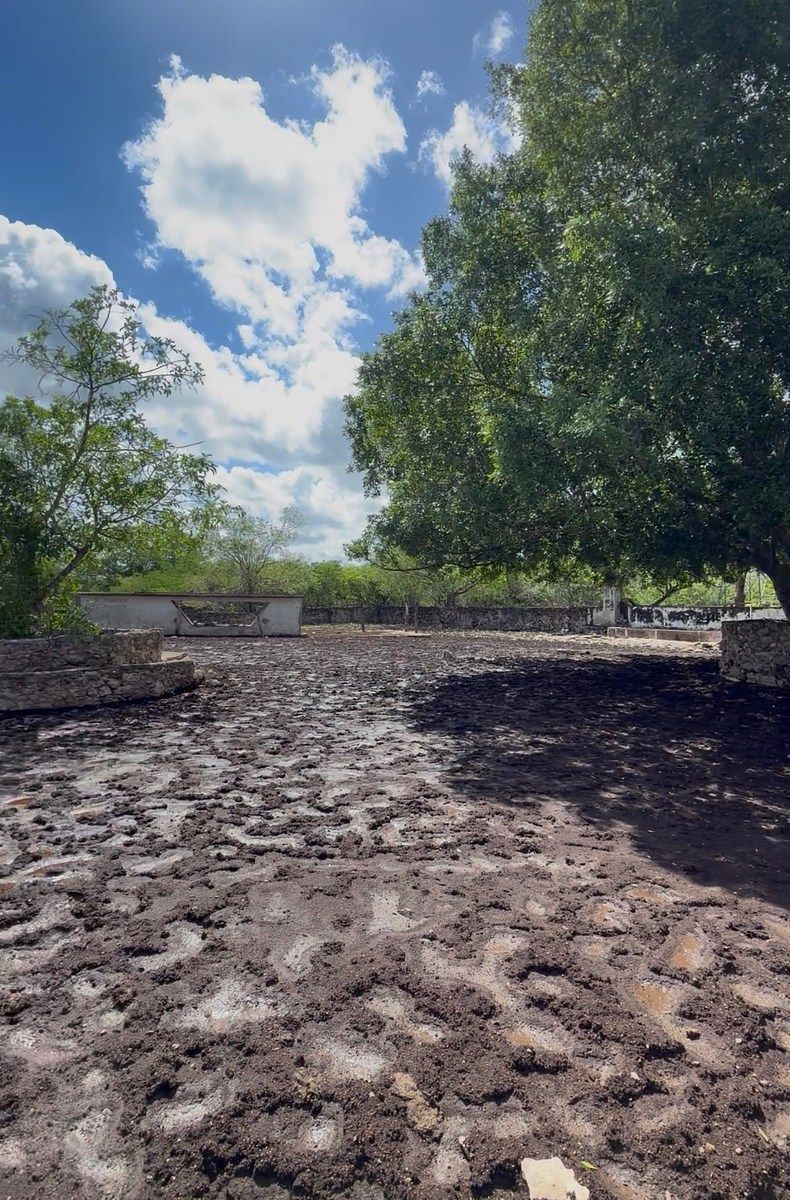 6 de 6: Area de ganado