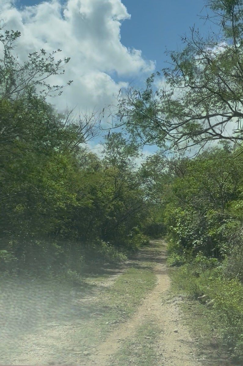 5 de 6: Camino DENTRO del terreno