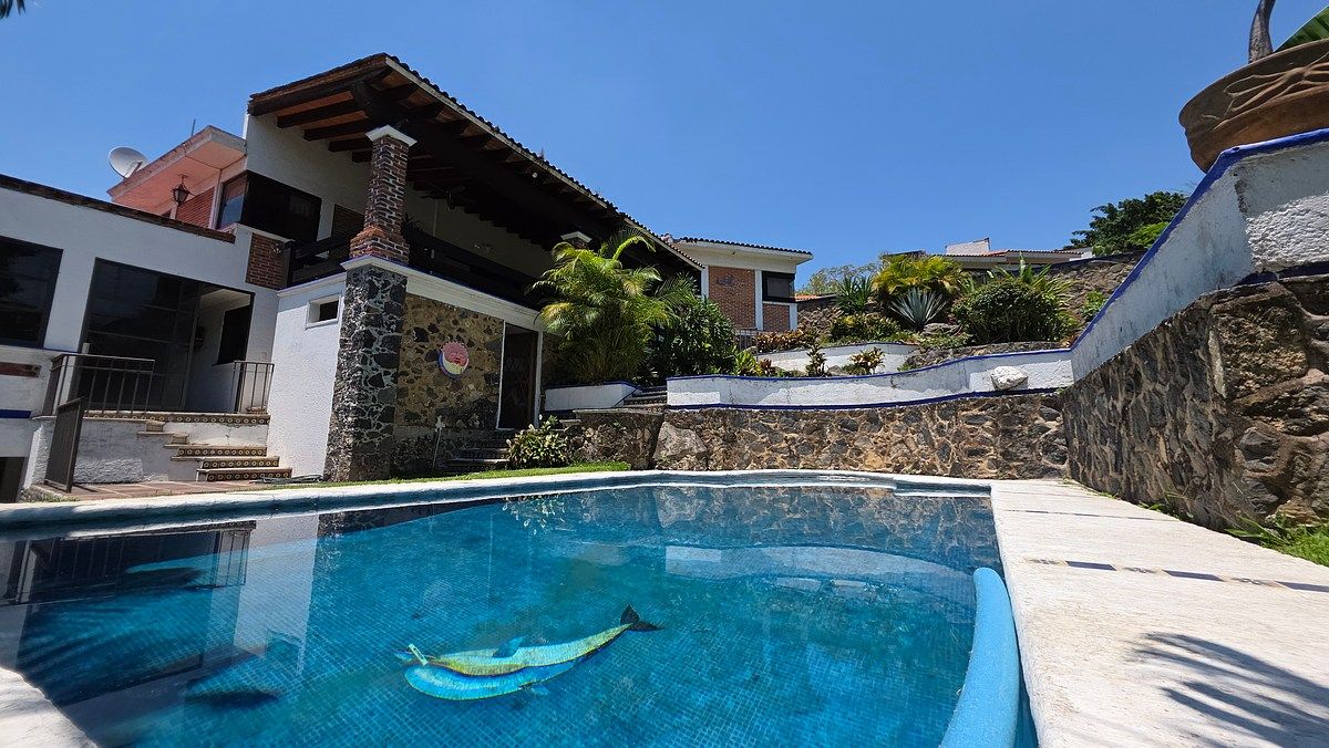 1 de 40: Vista general.