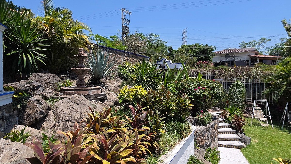 3 de 40: Vista general del jardín.