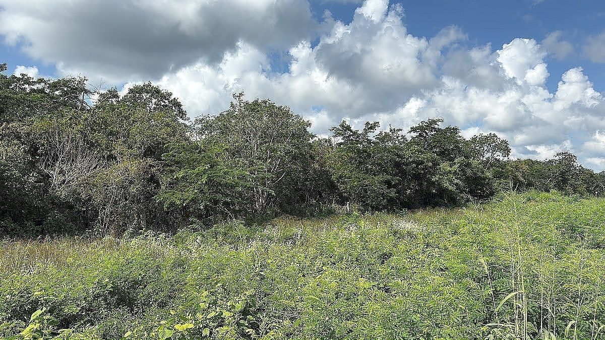 2 de 5