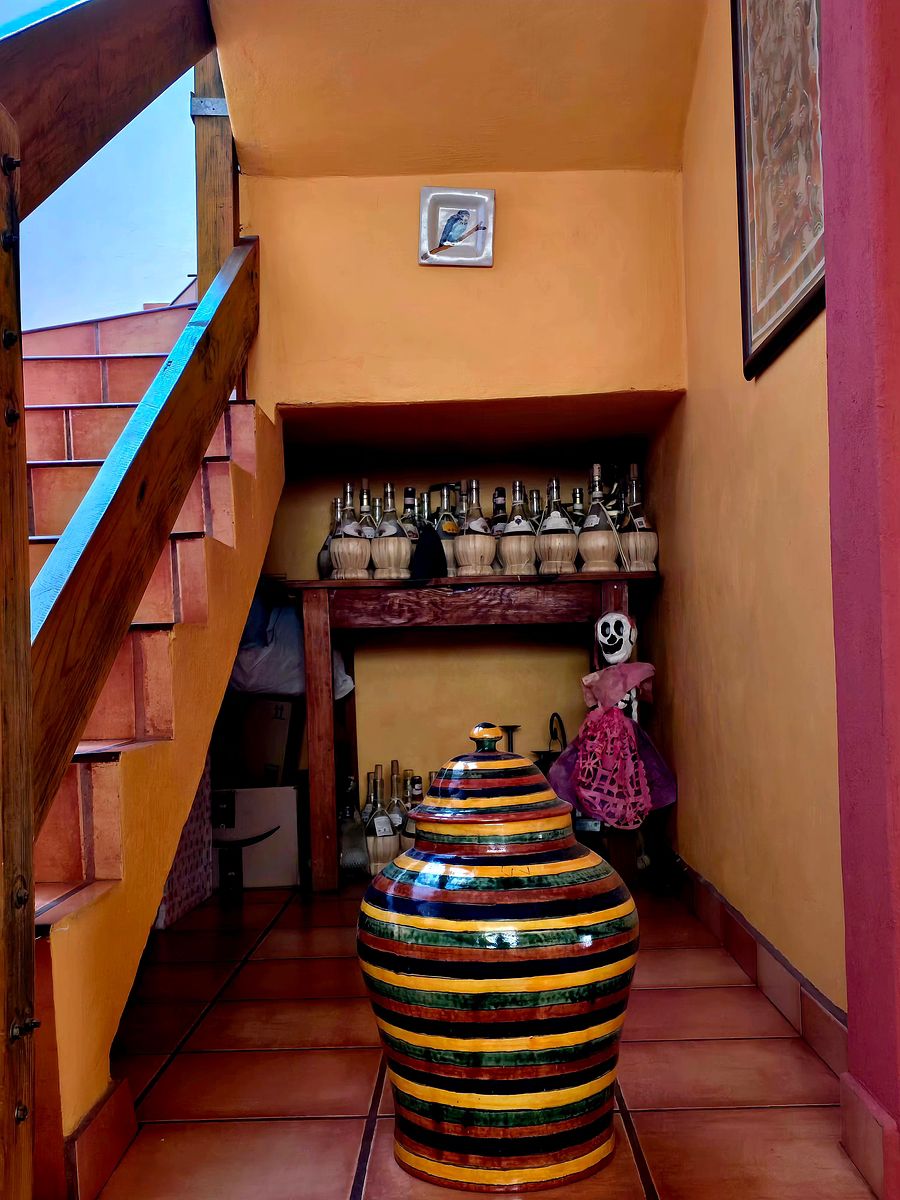 12 de 48