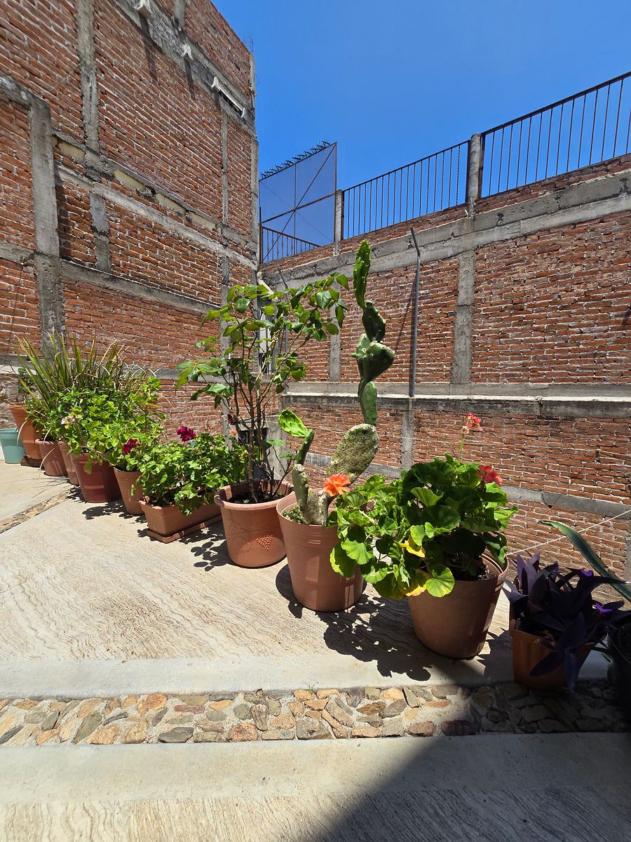 22 de 48
