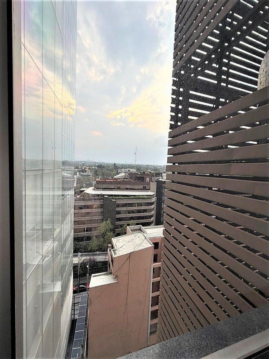 6 de 29
