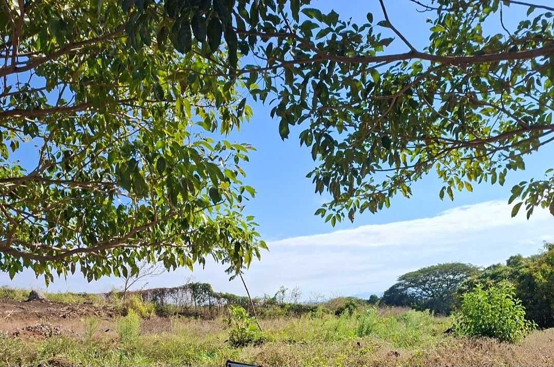 4 de 5: Terrenos disponibles