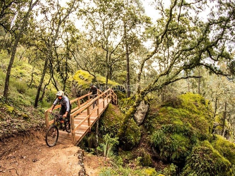 Terreno en MAZATI, Tapalpa - foto 3