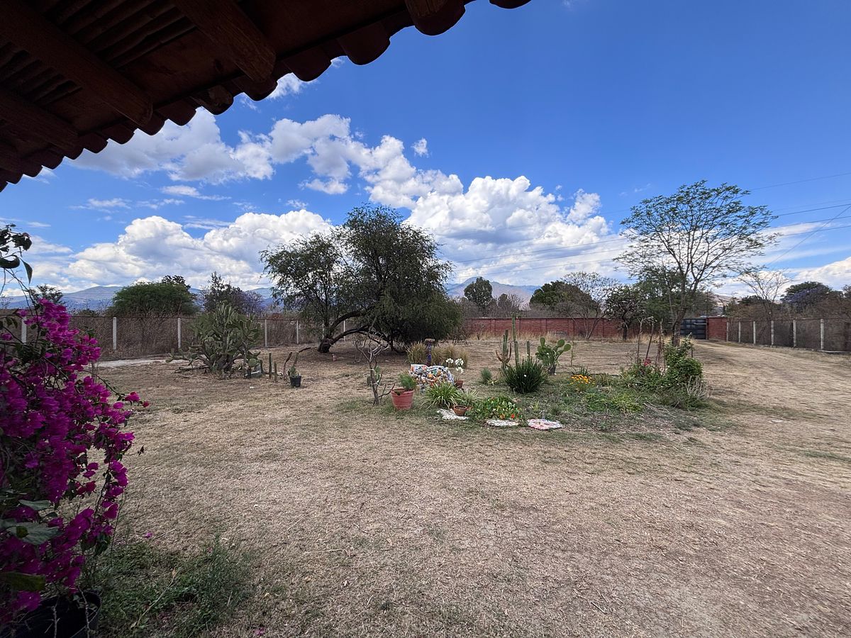 19 de 19: Vista de terreno