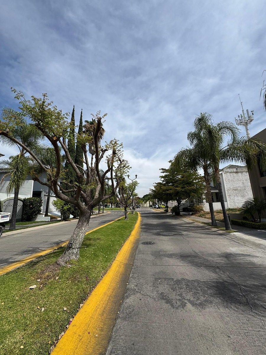 TERRENO EN VENTA EN SAN MARTÍN DEL TAJO - foto 5
