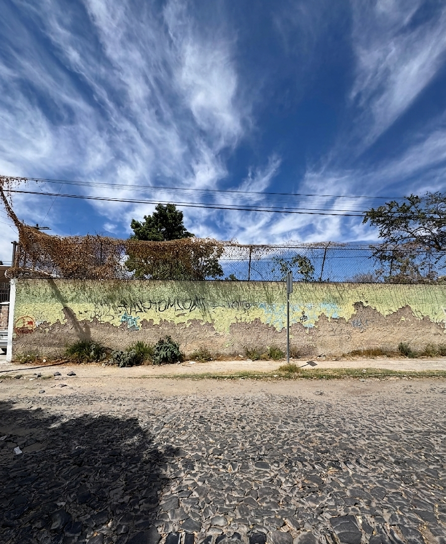 TERRENO EN VENTA EN CIUDAD GRANJA - foto 2