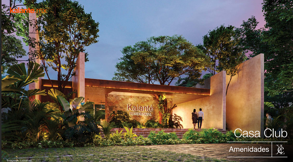 Terreno en venta entre Merida y Progreso, Yucatan - foto 1