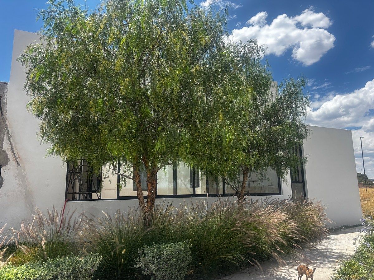 House in Gated Community in Vista Campestre, Aguascalientes, photo 15 of 21
