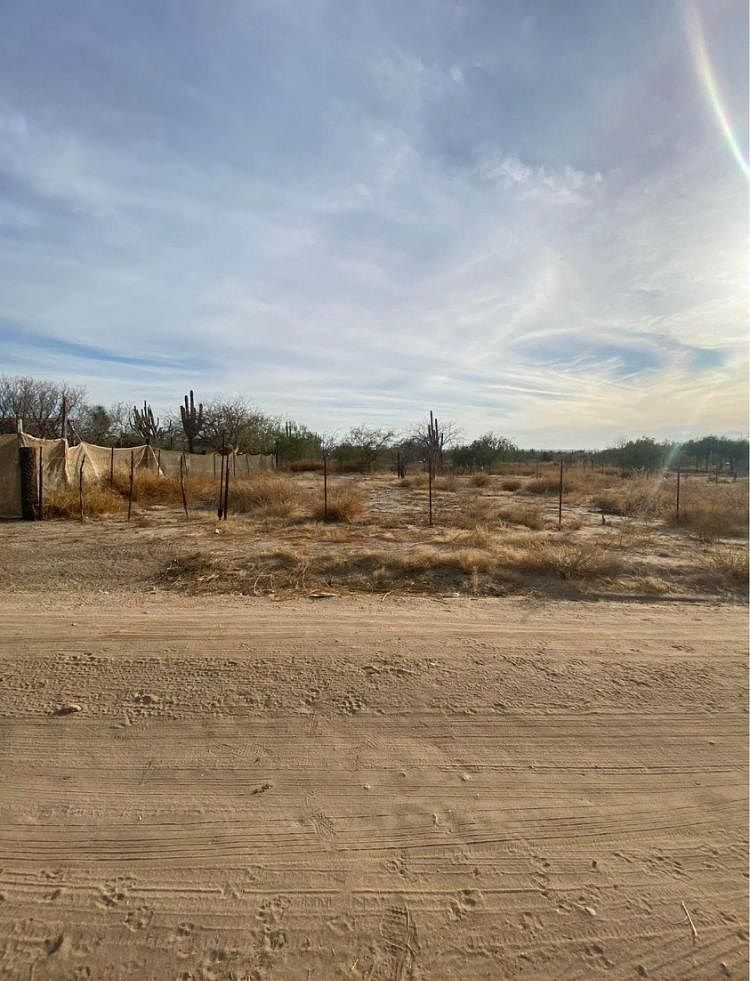 1 de 6: VISTA LOTE DE FRENTE 10.00 METROS