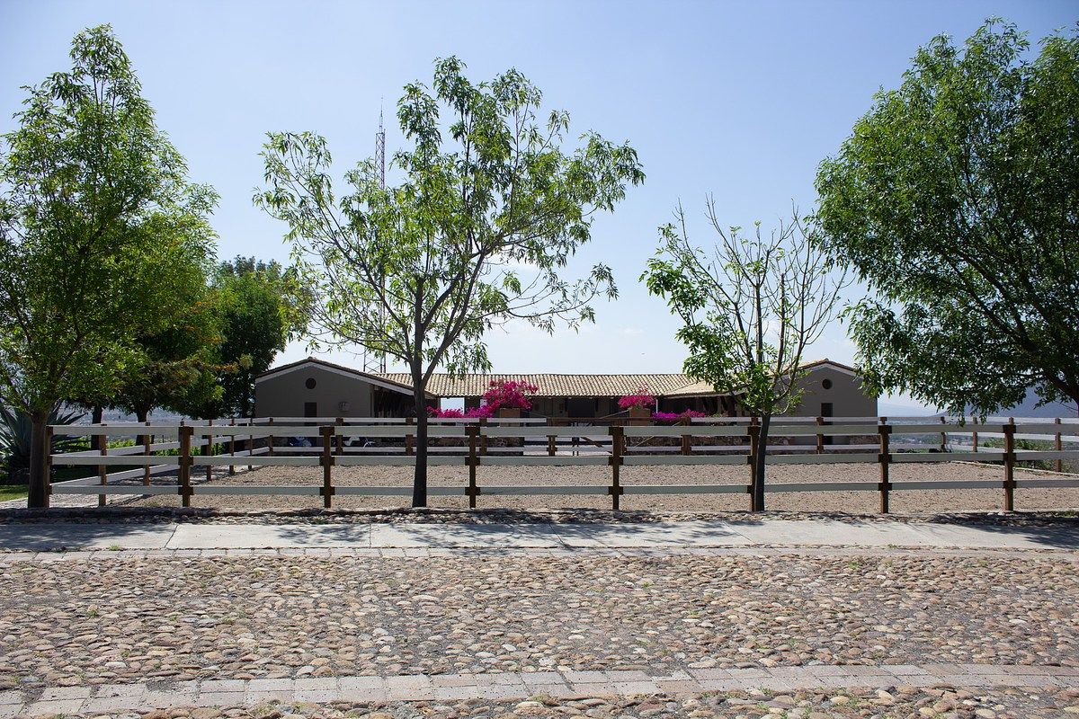 9 of 15: Caballeriza