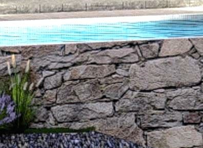 Terreno en El Bajío, Montemorelos, foto 4 de 10
