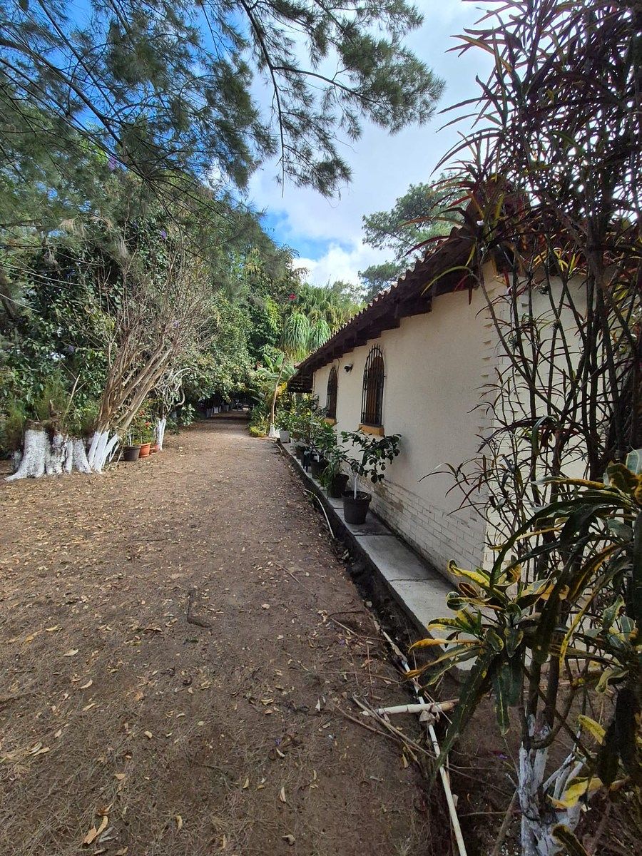 4 de 6