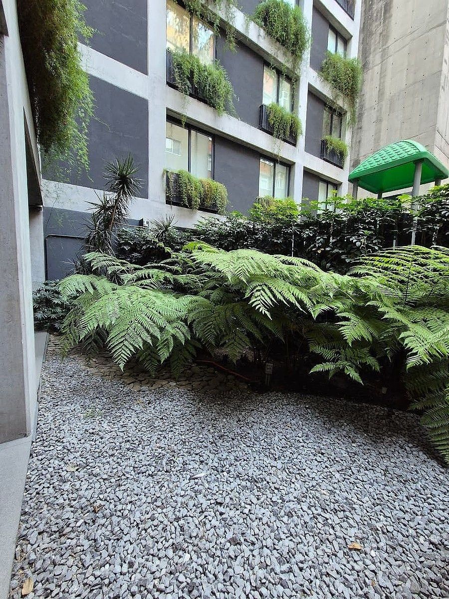 12 de 25: jardín de recamara