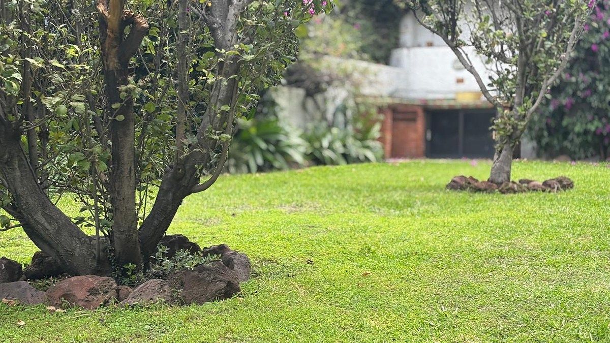 Casa en Bosque de las Lomas, Miguel Hidalgo, foto 21 de 26