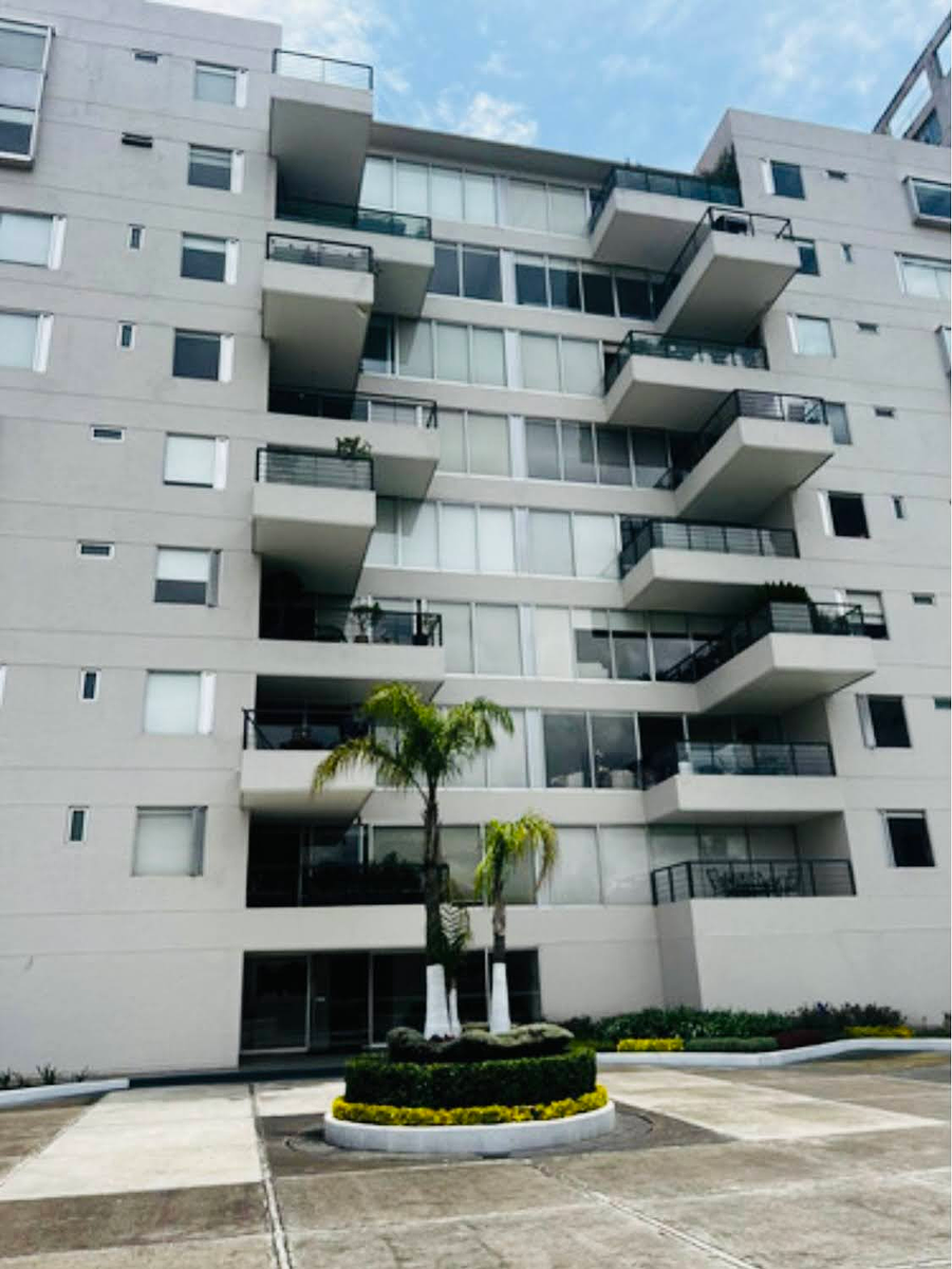 12 de 26: Residencial Palmeras