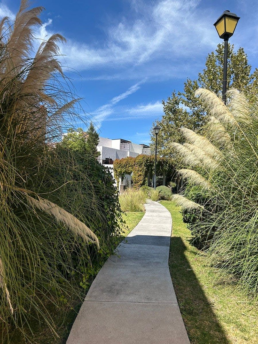 Casa en condominio en Fraccionamiento Zirándaro, San Miguel de Allende, foto 4 de 22