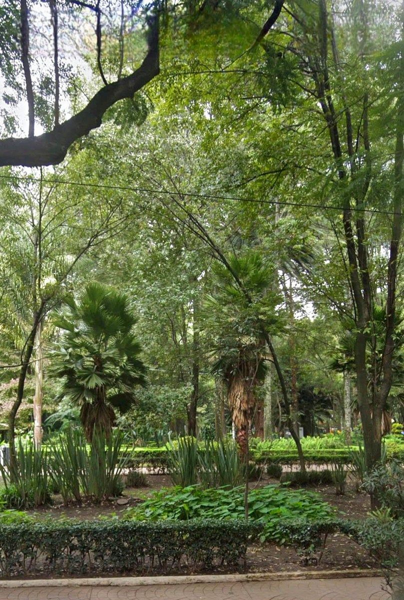 18 de 18: Parque Mexico