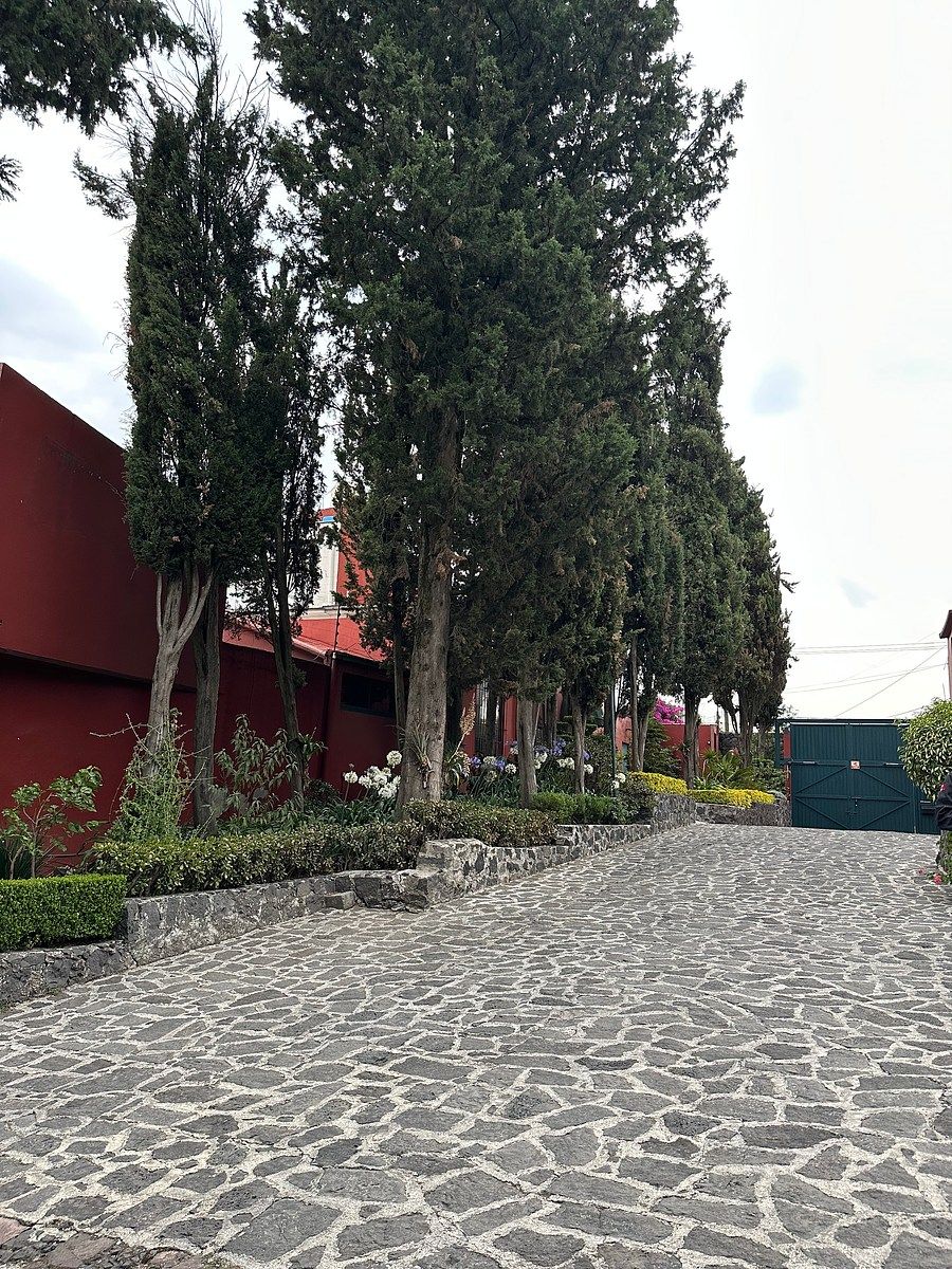 29 de 29