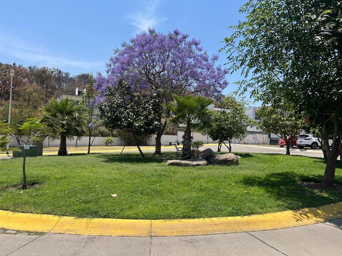 5 de 7
