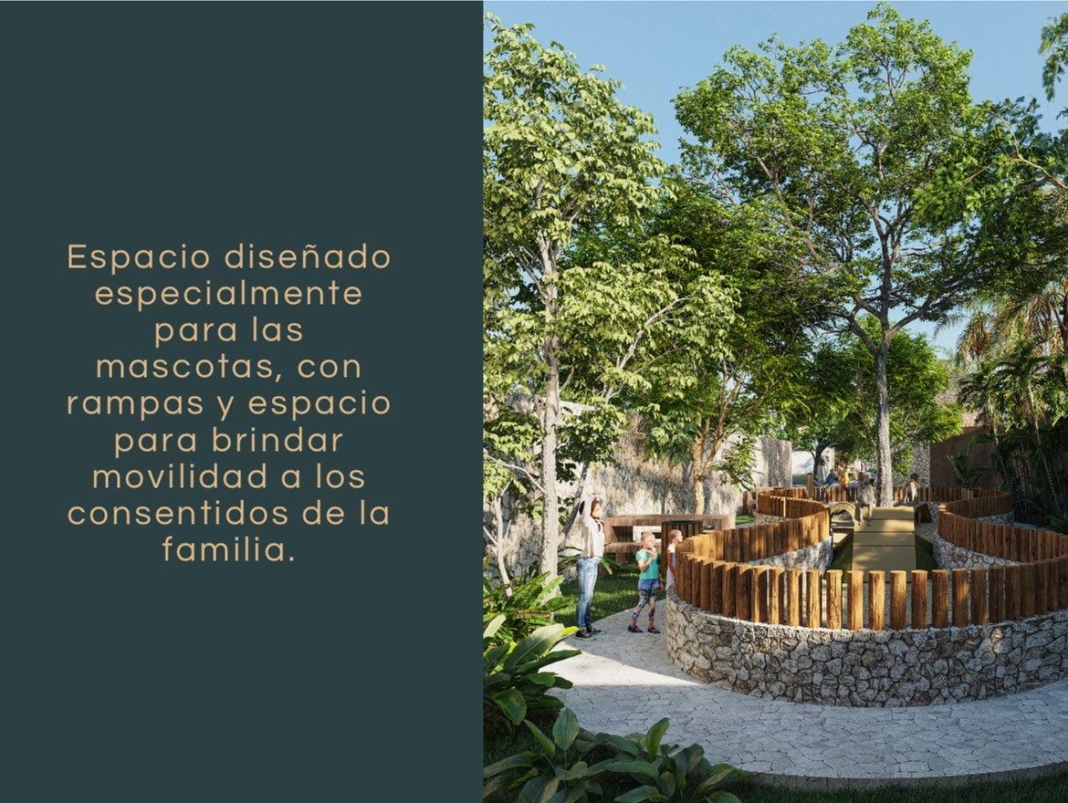 Invierte en tu futuro: Lotes residenciales con alta plusvalía y financiamiento s - foto 5