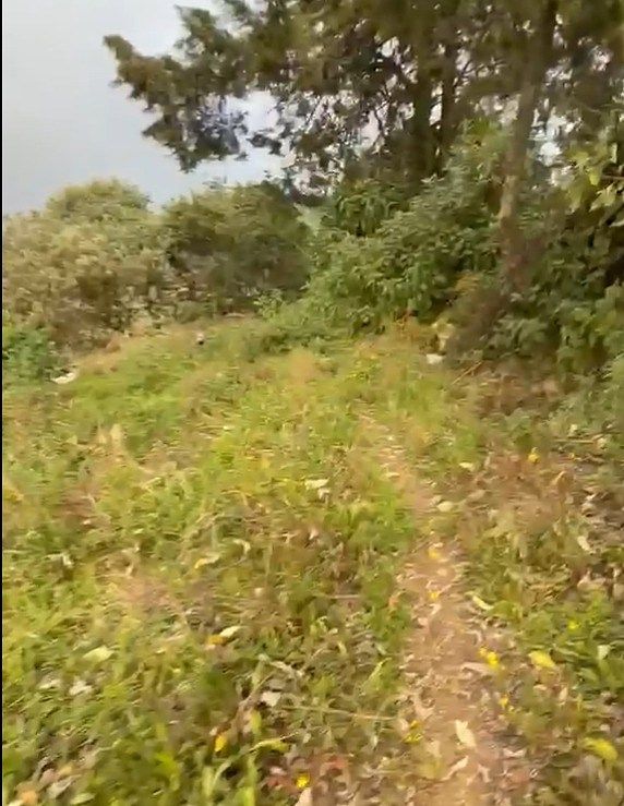 Terreno en Bosques del Mineral, Mineral de la Reforma, foto 7 de 7