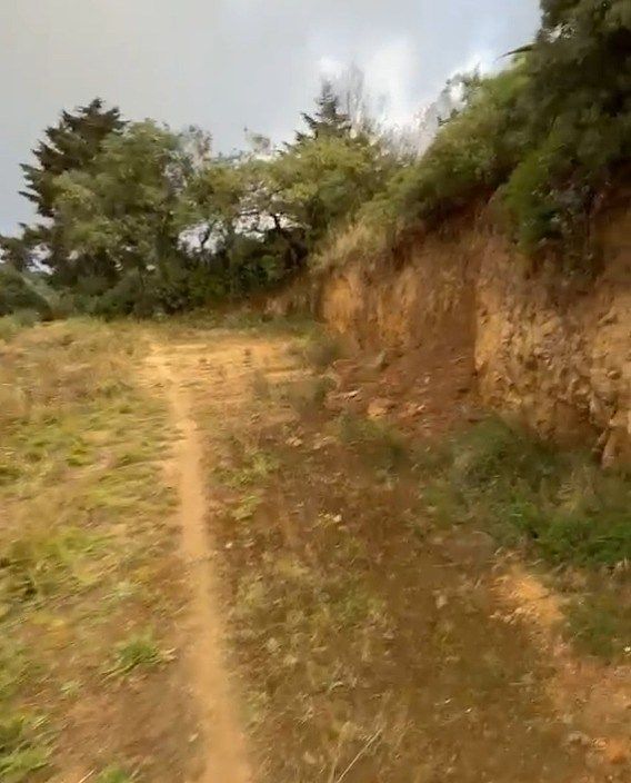 Terreno en Bosques del Mineral, Mineral de la Reforma, foto 2 de 7