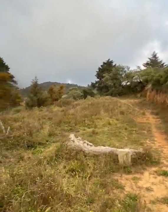 Terreno en Bosques del Mineral, Mineral de la Reforma, foto 3 de 7