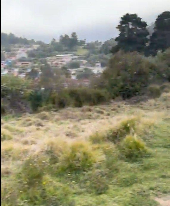 Terreno en Bosques del Mineral, Mineral de la Reforma, foto 5 de 7